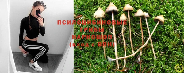 стафф Медвежьегорск
