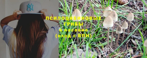 стафф Медвежьегорск