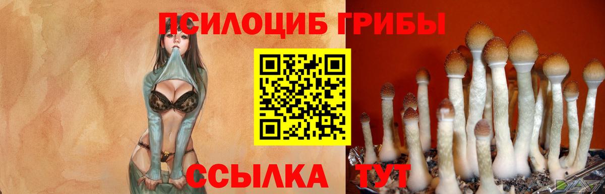 Галлюциногенные грибы прущие грибы  Вход с VPN  Самара 